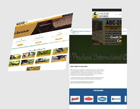 website development in Faridabad
